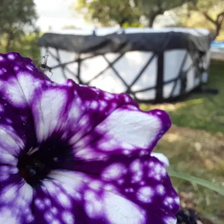 Glamping Domes San Martino *