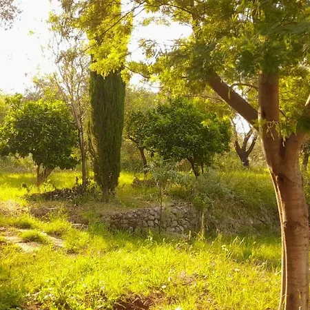 Glamping Domes San Martino