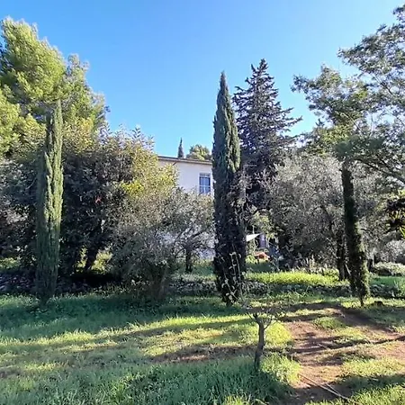 Glamping Domes San Martino 豪华帐篷
