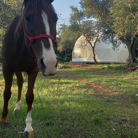 Glamping Domes San Martino * Itri