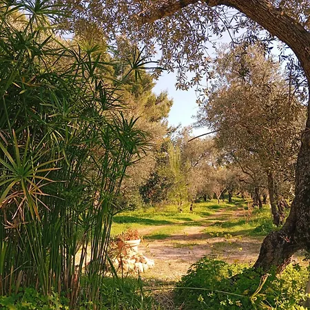 Glamping Domes San Martino *