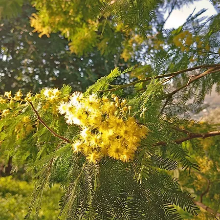 Luxussátor Glamping Domes San Martino